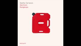 Sasha Carassi  Hungexpo Original Mix [upl. by Nahtnamas]