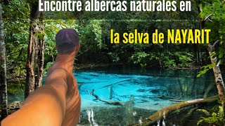 Encontré ALBERCAS naturales en la selva de NAYARIT a 1hr de Sayulita🔥🌴 Explico cómo llegar [upl. by Meyers]