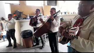 Un Millon de Primaveras Vicente Fernández Mariachi Intocable [upl. by Maude]