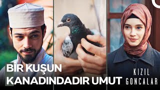 Cüneyd ve Zeynepin Minik Dostu🕊️  Kızıl Goncalar 14 Bölüm İLK SAHNE [upl. by Friedly218]