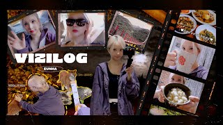 VIZILOG 추석에는 꼬옥 송편을 먹어줘야 돼🐰  은하의 Vlog [upl. by Hajed330]