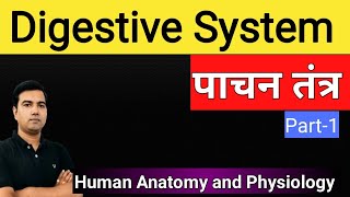 Digestive System पाचन तंत्र in Hindi by Avrendra Singh MPharm [upl. by Chariot]