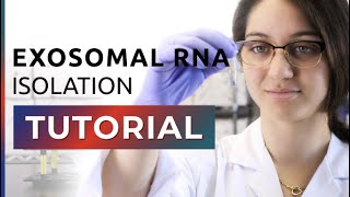 How to Isolate Exosomal RNA From Exosomes [upl. by Anitselec]