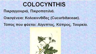 COLOCYNTHIS  ΑΝΤΙΜΕΤΩΠΙΣΗ ΟΞΕΩΝ ΚΑΤΑΣΤΑΣΕΩΝ ΜΕ ΟΜΟΙΟΠΑΘΗΤΙΚΗ [upl. by Atalya272]