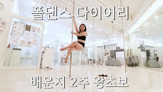 Polelog My First Pole Dance Diary Pole Dance Beginner english subtles [upl. by Lled]