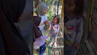 AFRIN DAN HAFIZAH KASIH MAKAN BINATANG ANTELOPE DAN RUSA  HEWAN DI KEBUN BINATANG shorts [upl. by Klinger]