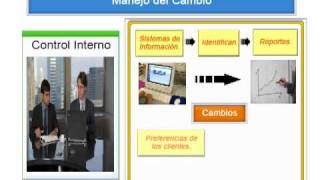 Video 6 Control Interno INTRO [upl. by Arratoon]