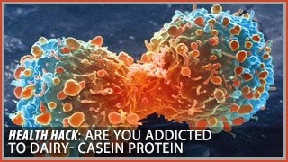 Are you Addicted to Dairy  Casein Protein Health Hacks Thomas DeLauer [upl. by Adnoved981]