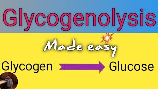 Glycogenolysis Pathway in Biochemistry ll Definition ll Site ll Significance ll Regulation [upl. by Sherr]