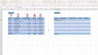 Lär dig SORTERA  funktionen i Excel [upl. by Eves217]