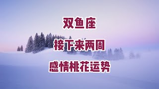 双鱼座，接下来两周，感情桃花运势 [upl. by Enoch371]