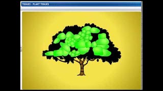 CBSE Class 9 Science Tissues 1 Plant Tissues [upl. by Takara]