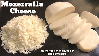 Mozzarella Cheese How To Made  Mozzarella At Home Simple amp Easy Method [upl. by Buttaro]