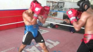 Miguel Alacrán Berchelt haciendo sparring con Eduardo Lobito Rivera del 080314 [upl. by Xeno93]