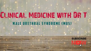 Male Urethral Syndromeurologyclinicalmedicinesimplified [upl. by Gievlos]