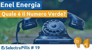 Numero Verde Enel per parlare con il servizio clienti [upl. by Syverson]