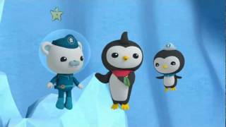 Octonauts Christmas Special  s1e51  The Great Penguin Race [upl. by Jelena]