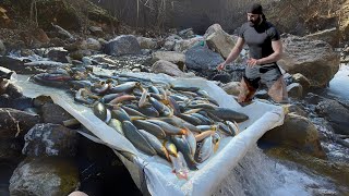 Dünyanın En Basit Balık Tutma Tekniği  THE WORLDS SIMPLE FISHING TECHNIQUE [upl. by Healey]