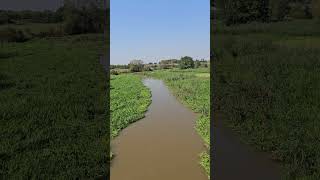 Flooding in Siechnice Lower Silesia Poland 17 September 2024 [upl. by Ahsinaw]