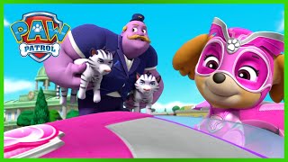 La PatPatrouille les puissants chiots sauvent un méga maire et plus encore  PAW Patrol animés [upl. by Torrance]