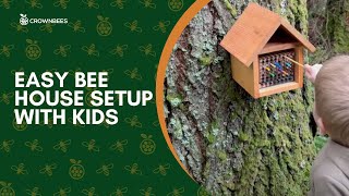 Easy Bee House Setup for Kids [upl. by Cassaundra]