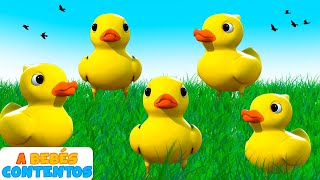 A Bebés Contentos  Cinco Patitos 🐤  3D Canciones Infantiles [upl. by Haiel]