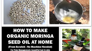 How to Extract Moringa Seed Oil at Home moringaseedoil [upl. by Petersen960]