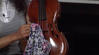 How to Play the Viola [upl. by Adnarb]