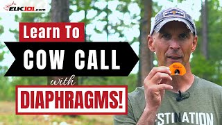 How to Cow Call with Diaphragm Elk Calls [upl. by Llerrehs783]