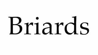 How to Pronounce Briards [upl. by Alleon239]