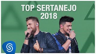 Top Lançamentos Sertanejo 2019  Os Melhores Clipes [upl. by Graham882]