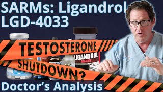 SARMs Ligandrol LGD4033  Testosterone Shutdown Doctors Analysis [upl. by Okiron]