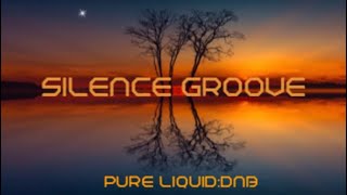 Silence Groove Tribute Mix PureLiquid No218 [upl. by Gertie]