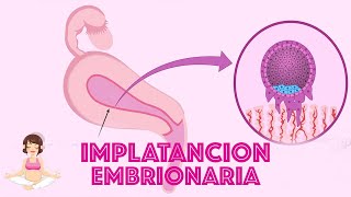 SÍNTOMAS de la IMPLANTACIÓN del embrión  Embrionaria 2020 [upl. by Roselba]