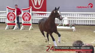 24 Fürst Fohlenhof  Sandro Hit  Contender [upl. by Namrak]