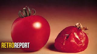 GMO Food Fears and the First Test Tube Tomato  Retro Report [upl. by Topping]