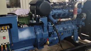 Yuchai 200kw natural gas generator set [upl. by Kerianne646]