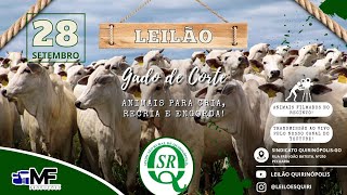 LEILÃO AO VIVO DO SINDICATO RURAL DE QUIRINÓPOLISGO [upl. by Alberto]