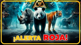 Los 10 ANIMALES más Amenazados del Planeta  PELIGRO DE EXTINCIÓN [upl. by Eahsel539]