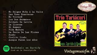 Trio Tariacuri Huapango Corrido y Ranchera Colección Mexico 59 Full AlbumAlbum Completo [upl. by Eemiaj]