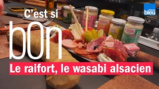 Le raifort lhistoire du wasabi alsacien  Cest si bon [upl. by Nyllek]