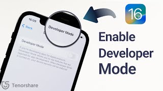 How to Enable iPhone Developer Mode on New iOS 181716  2 Ways in 2024 [upl. by Goldia334]