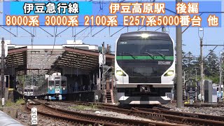 【伊豆急行線】伊豆高原駅 8000系・3000系・2100系・E257系2000番台・5000番台・E261系 後編 2024年5月3日 撮影 [upl. by Annawik]