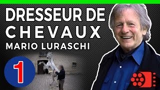 DRESSEUR DE CHEVAUX AU CINEMA  1  Mario Luraschi [upl. by Jakob557]