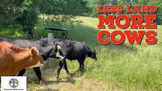 Secret Tools For Regenerative Grazing Cattle On Small Acreage [upl. by Godspeed]