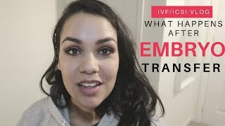 What Happens to the Embryo After Embryo Transfer IVFICSI VLOG [upl. by Stephan]