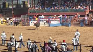 Angola Prison Rodeo Inmate Ryan Pourciau 706515 Louisiana Knocked Out Carl Ruffins 00412788 win [upl. by Slen]