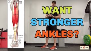 MULTIPLE SCLEROSIS EXERCISE  Get Strong and Stable Ankles With This EXERCISE [upl. by Lanctot]