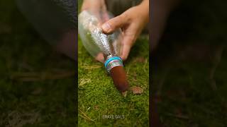 Cattail  plastic bottle free effective DIY water filter 💦 camping hack [upl. by Enahc]