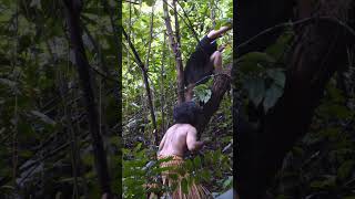 Girl unexpectedly meets strange guy in the wild forest videoshort shots [upl. by Cardinal]